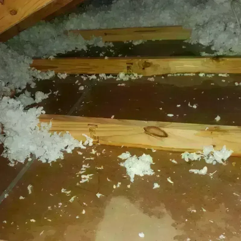 Attic Water Damage in Elmore, OH