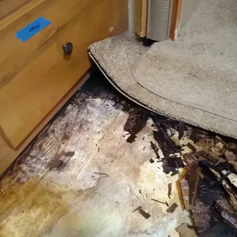 Wood Floor Water Damage in Elmore, OH